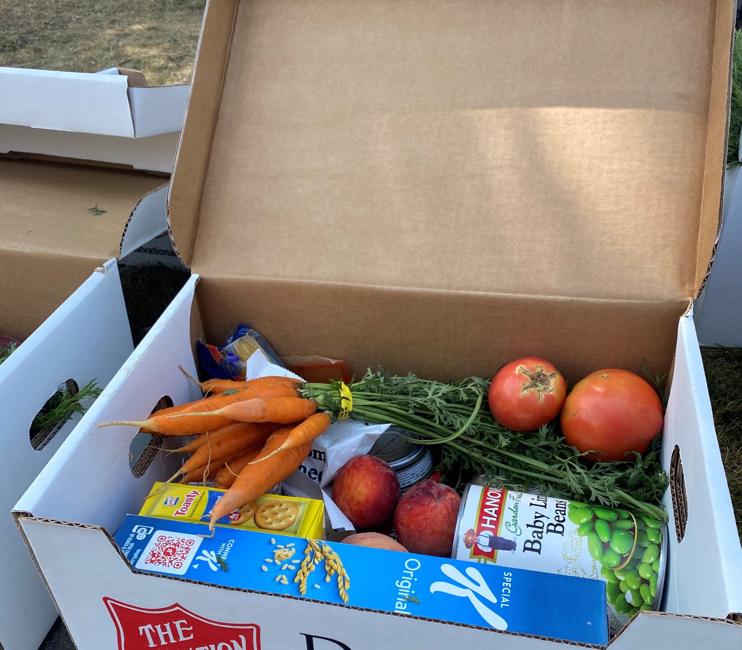 To-go box filled with fresh fruit and vegetables