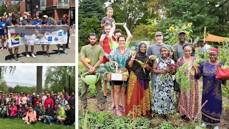 Photo collage: People holding age well equality sign at parade, group posing outdoors, woman selecting fresh vegetables